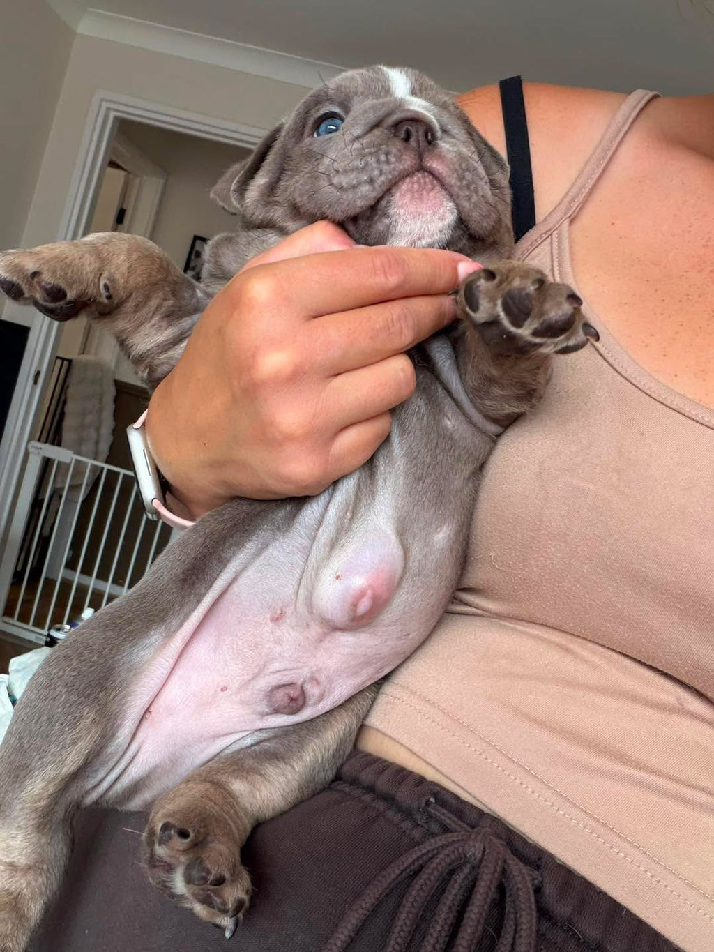 Stitch