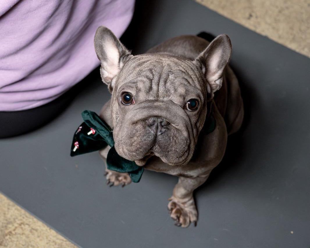 Midlands Cleft Rescue